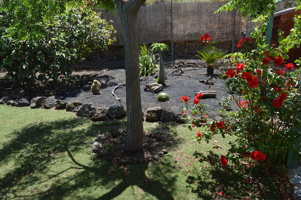 La Alpispa San Francisco de Paula Dış mekan fotoğraf