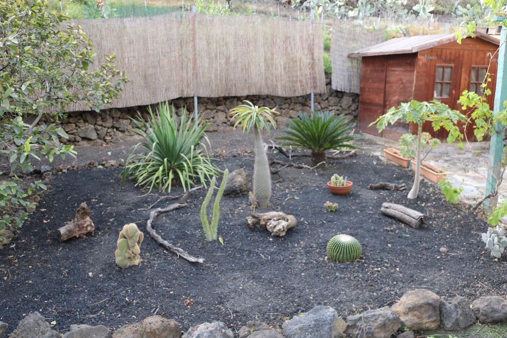 La Alpispa San Francisco de Paula Dış mekan fotoğraf